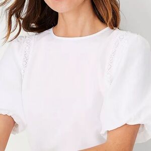 Ann Taylor Lace Trim Mixed Media Top White S